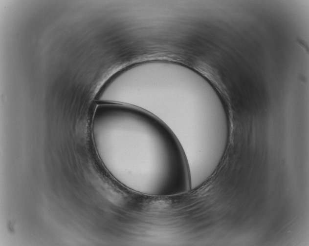 X0000099530156200805160733
