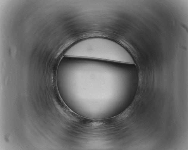 X0000099530158200805160733