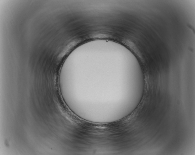 X0000099530159200805160733