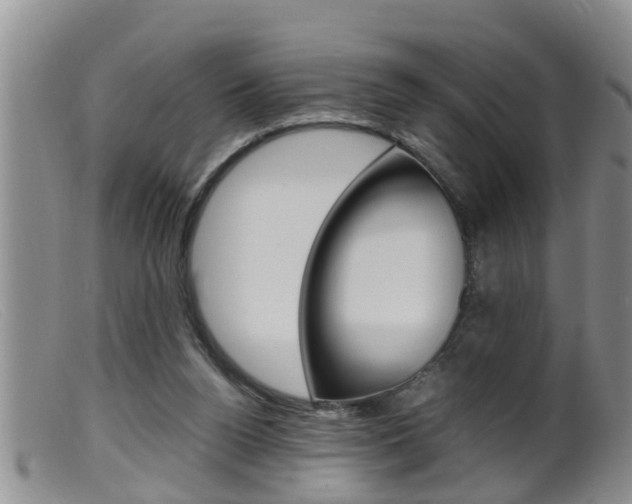 X0000099530160200805160733