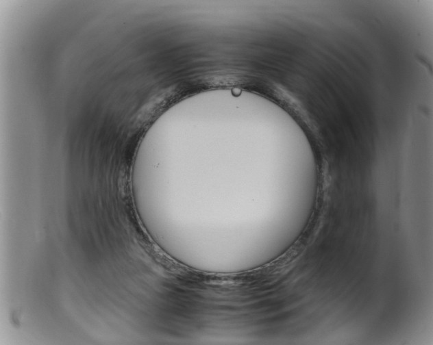 X0000099530161200805160733