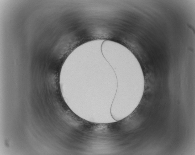 X0000099530162200805160734