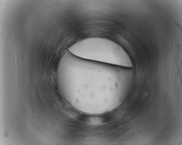 X0000099530169200805160734