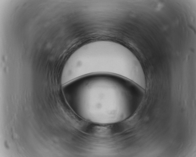 X0000099530170200805160734