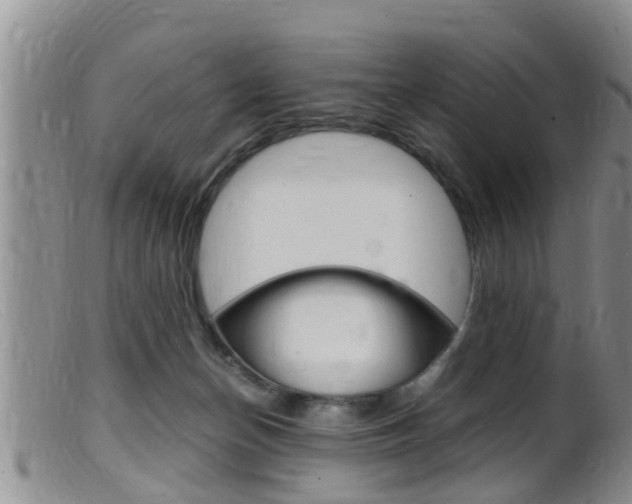 X0000099530174200805160734