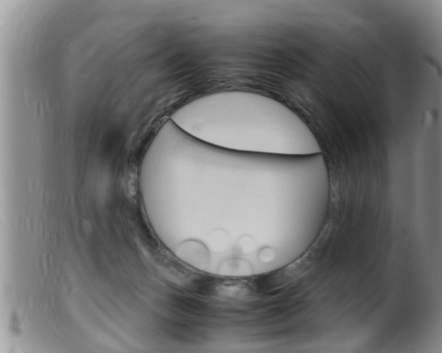 X0000099530175200805160734