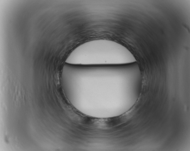 X0000099530182200805160734