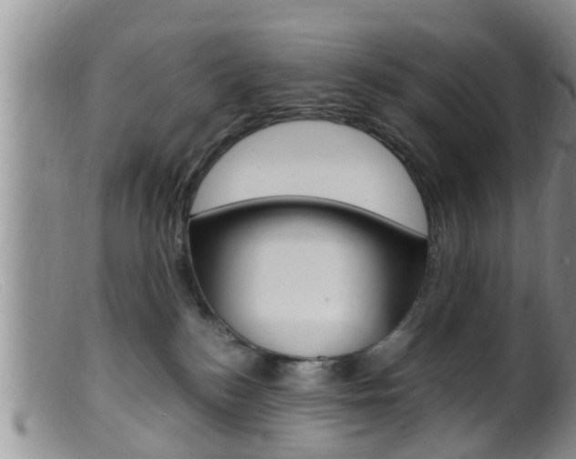 X0000099530184200805160734
