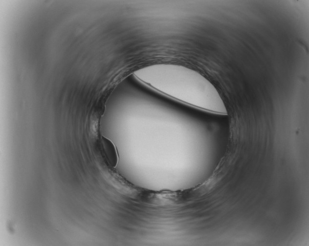 X0000099530188200805160734