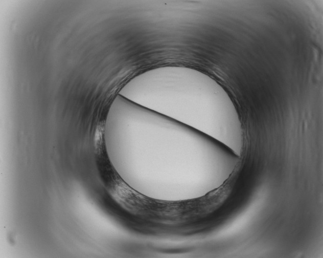 X0000099530191200805160734