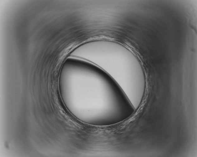 X0000099530193200805160733