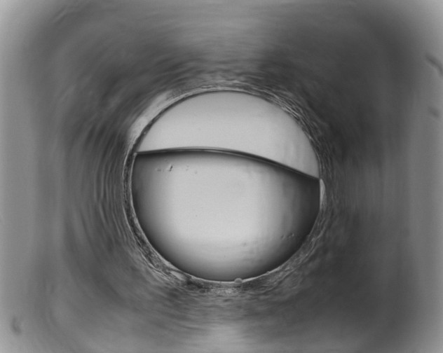 X0000099530195200805160733