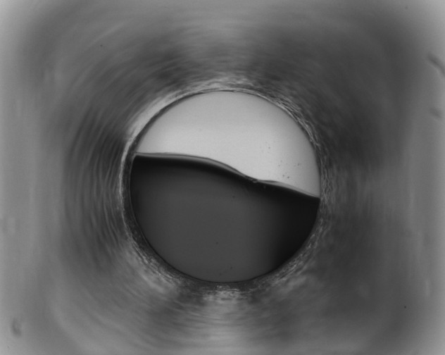 X0000099530196200805160733