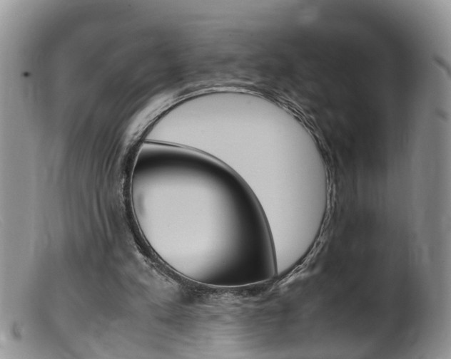 X0000099530197200805160733