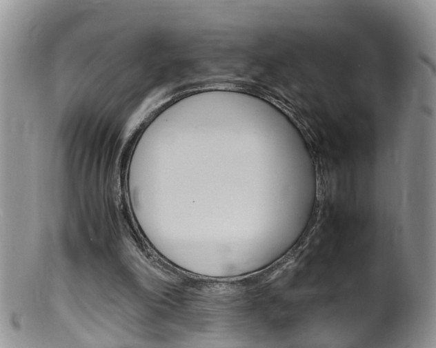 X0000099530198200805160733