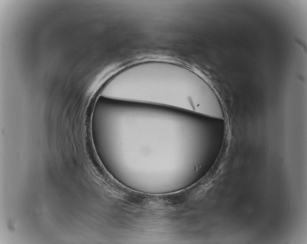 X0000099530199200805160733