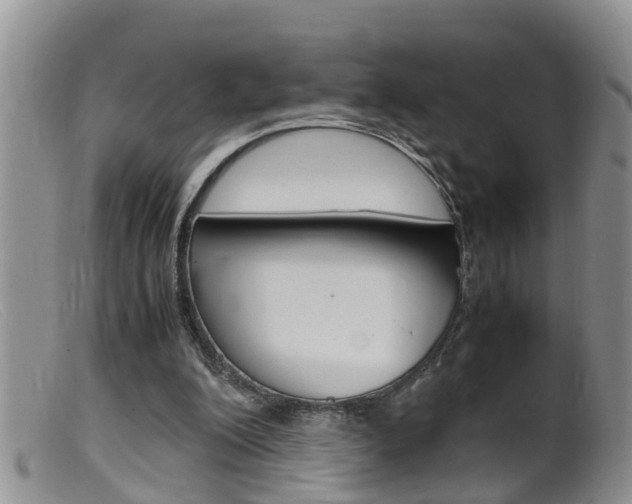 X0000099530200200805160733