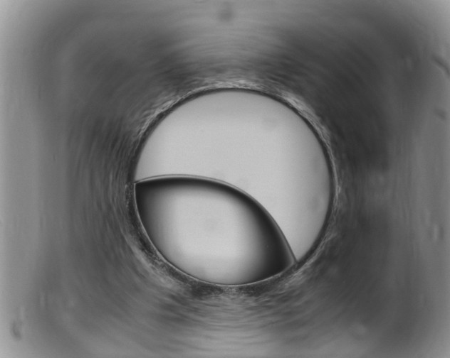 X0000099530201200805160733