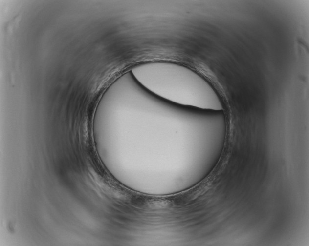 X0000099530202200805160733
