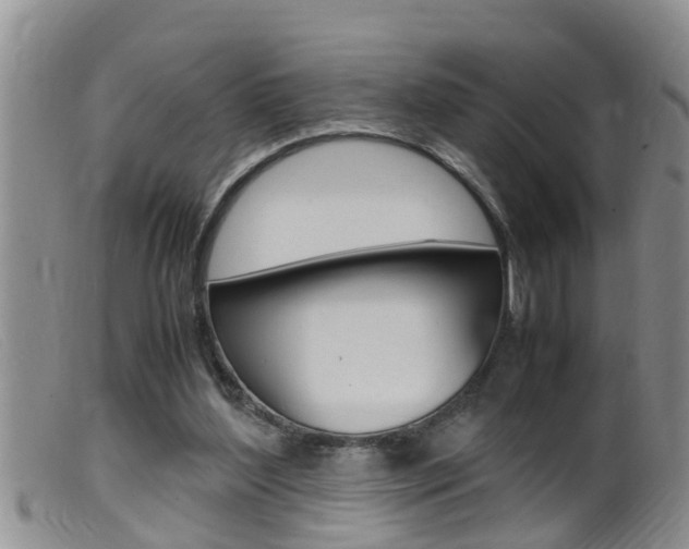X0000099530204200805160733