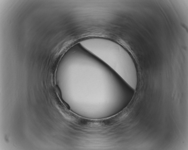 X0000099530205200805160733