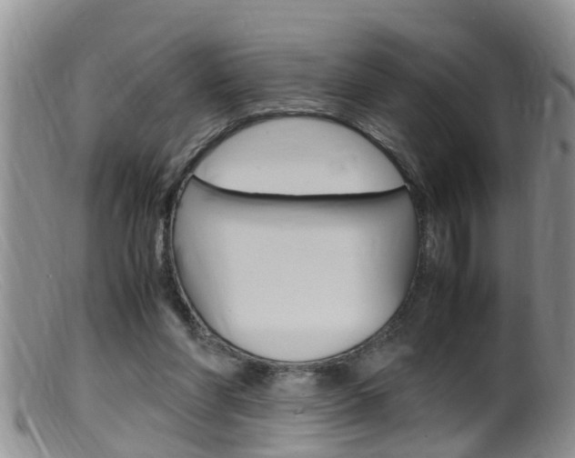 X0000099530206200805160733