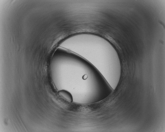 X0000099530207200805160733