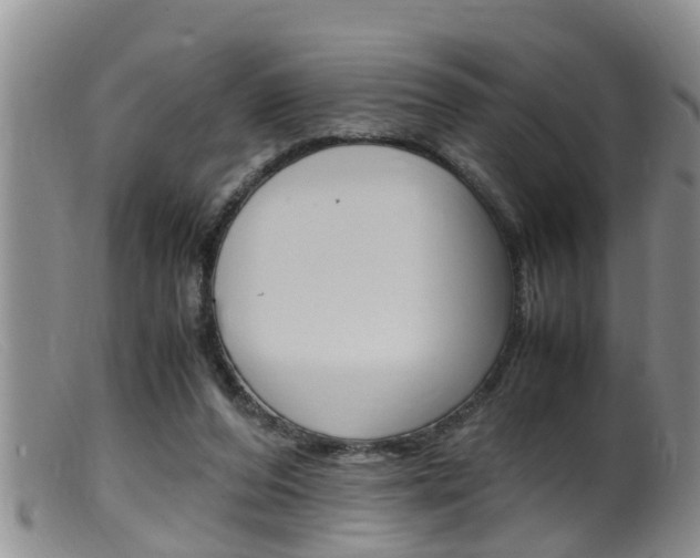 X0000099530208200805160733