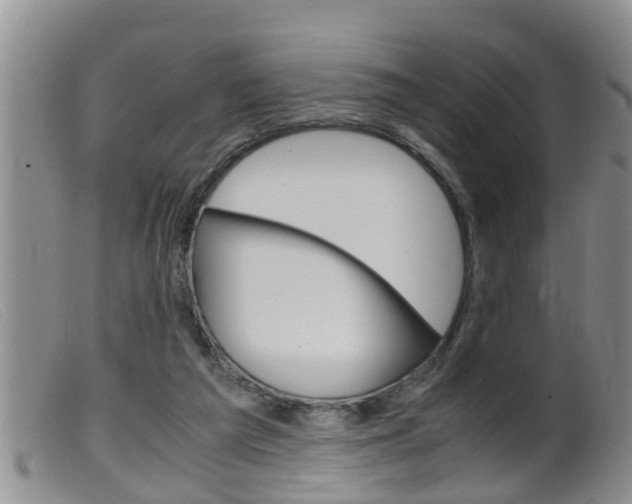 X0000099530209200805160733