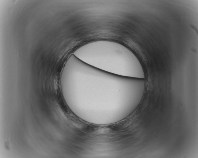 X0000099530210200805160733