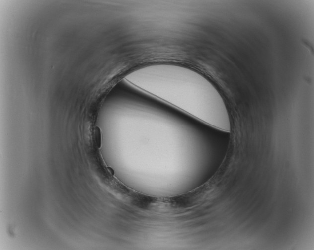 X0000099530211200805160733