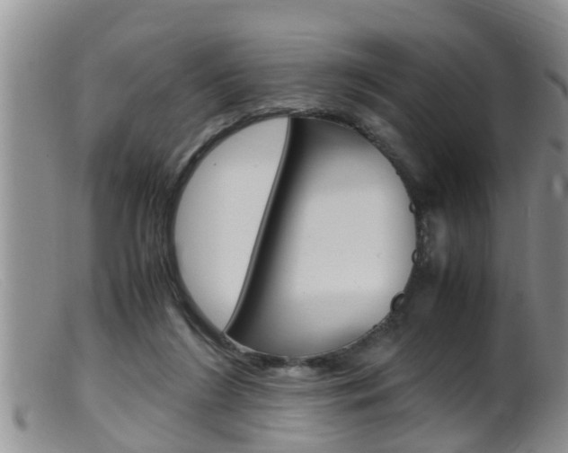 X0000099530212200805160733