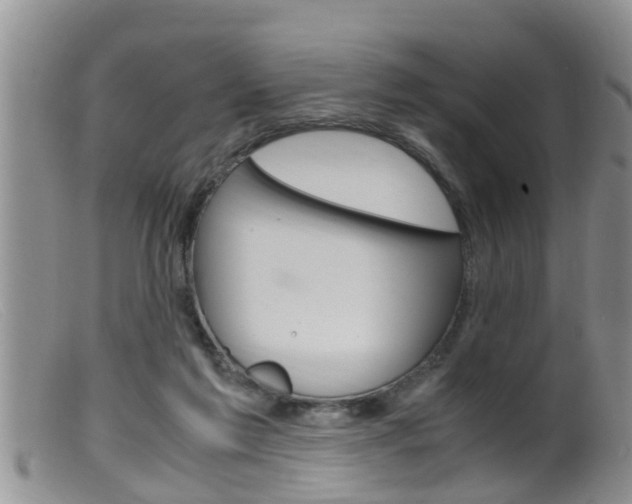 X0000099530213200805160733