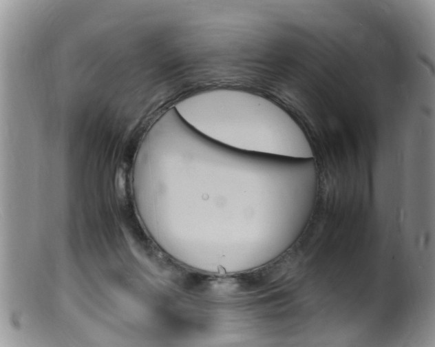 X0000099530214200805160733