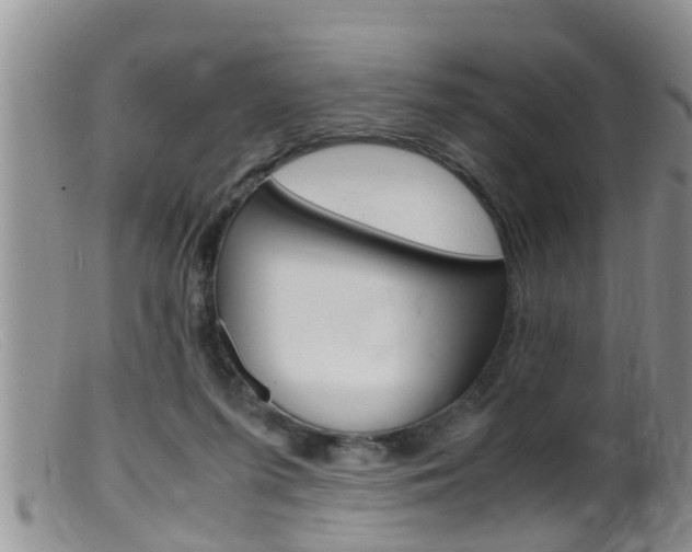 X0000099530215200805160733