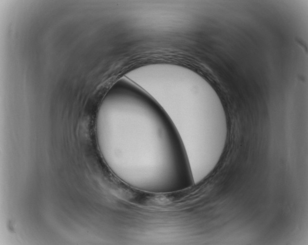 X0000099530217200805160733
