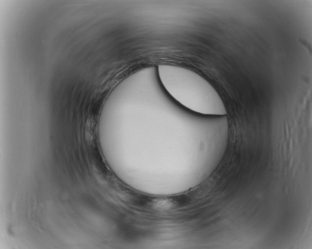 X0000099530218200805160733