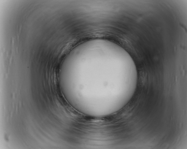 X0000099530220200805160733
