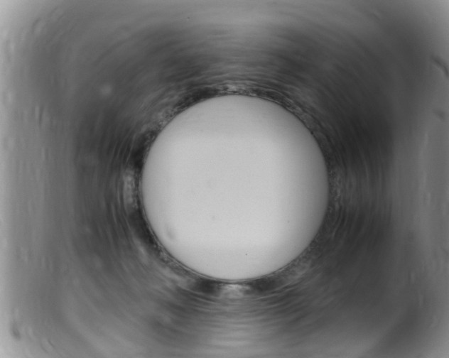 X0000099530222200805160733