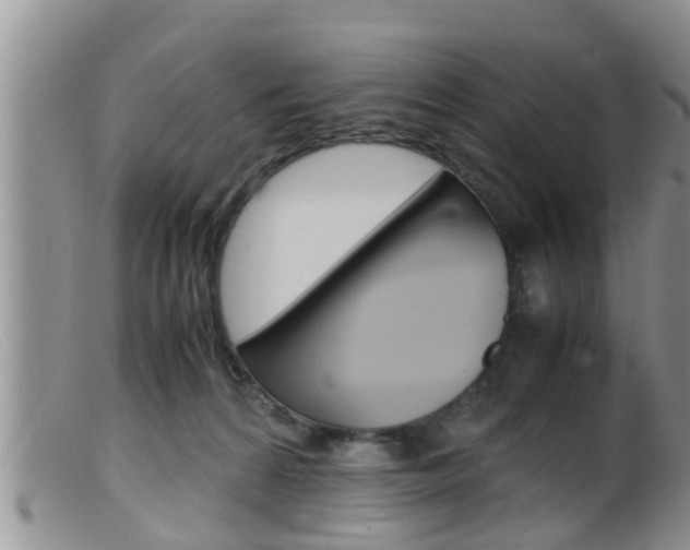 X0000099530224200805160733