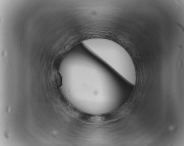 X0000099530225200805160733