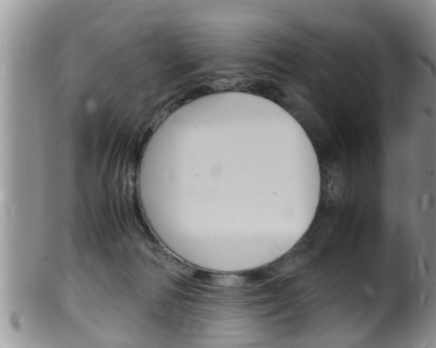 X0000099530226200805160733