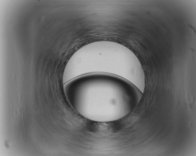 X0000099530229200805160733