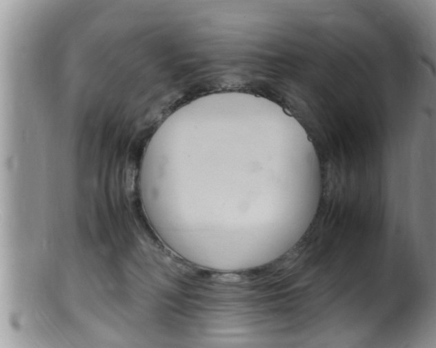 X0000099530230200805160733
