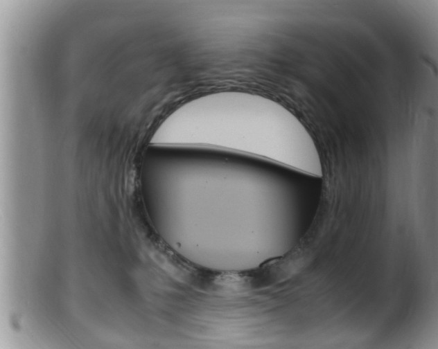 X0000099530231200805160733
