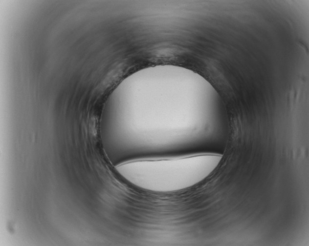 X0000099530232200805160733