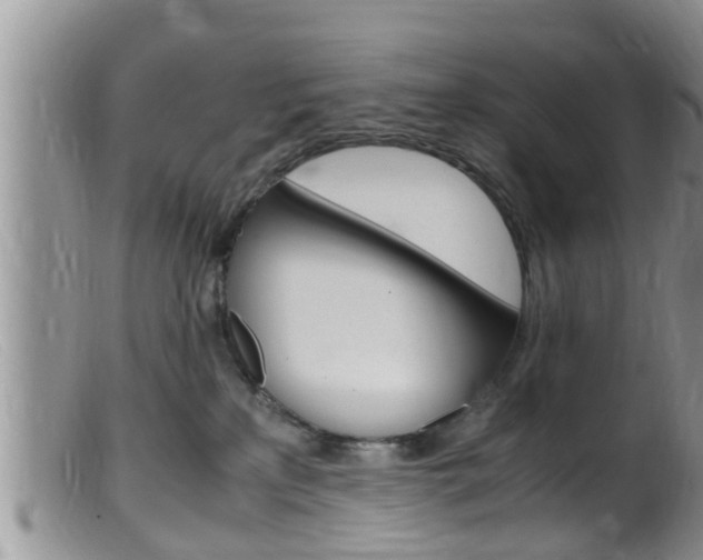 X0000099530233200805160733