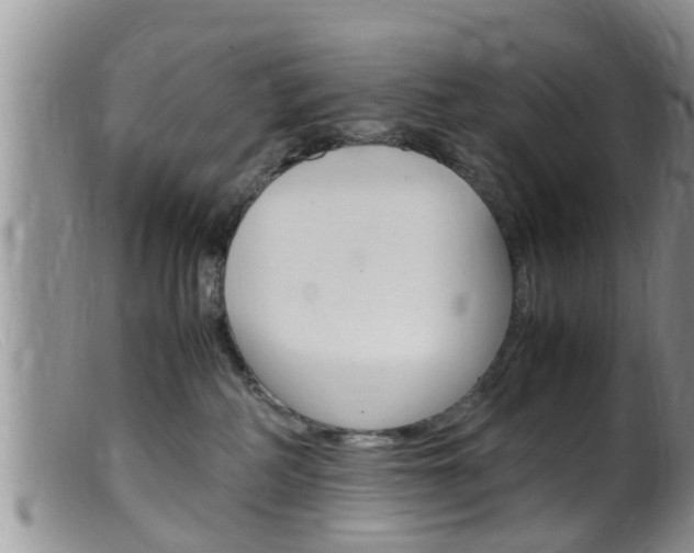 X0000099530234200805160733