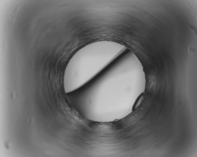 X0000099530236200805160732