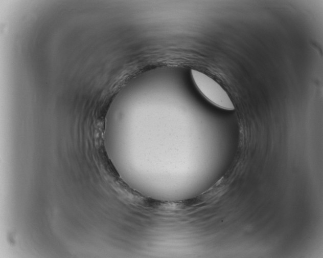 X0000099530237200805160732